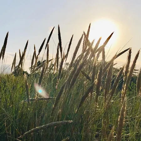 10 Person In Vaeggerlose-by Traum Holiday home *