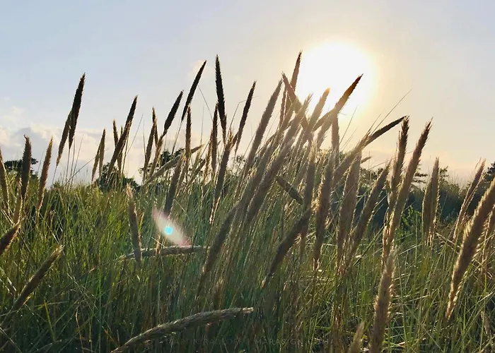 10 Person In Vaeggerlose-by Traum Semesterbostad *